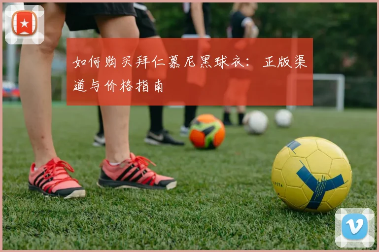 如何购买拜仁慕尼黑球衣：正版渠道与价格指南